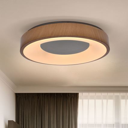 Brilagi - LED stropna svjetiljka s prigušivanjem DORIA LED/48W/230V 3000-6500K promjer 39 cm + daljinski upravljač
