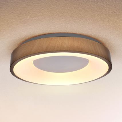 Brilagi - LED stropna svjetiljka s prigušivanjem DORIA LED/48W/230V 3000-6500K promjer 39 cm + daljinski upravljač