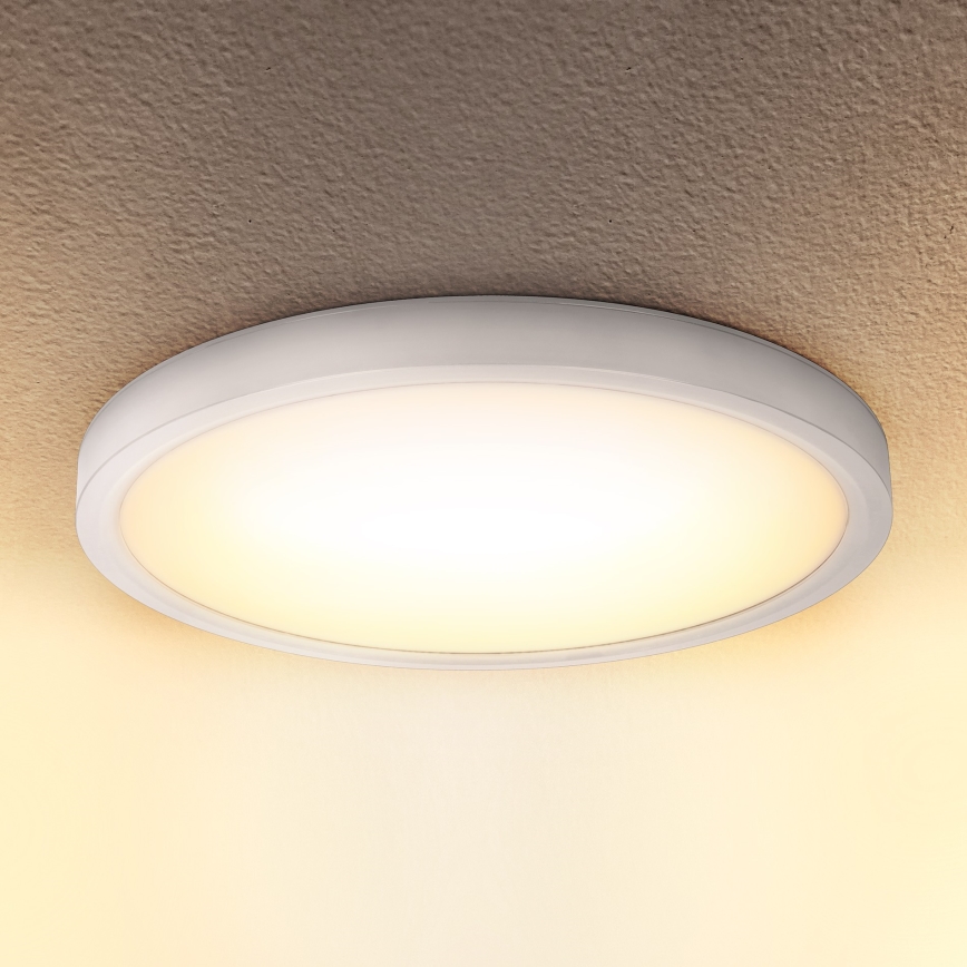 Brilagi - LED Stropna svjetiljka ESTELA LED/18W/230V bijela