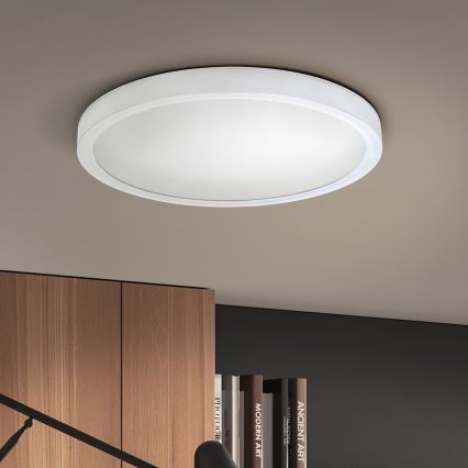 Brilagi - LED Stropna svjetiljka ESTELA LED/18W/230V bijela