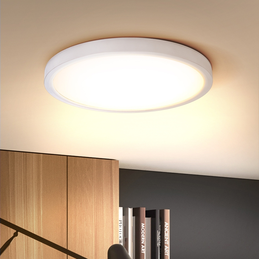 Brilagi - LED Stropna svjetiljka ESTELA LED/18W/230V bijela