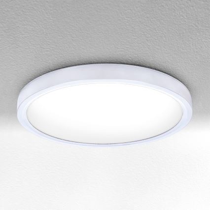 Brilagi - LED Stropna svjetiljka ESTELA LED/18W/230V bijela