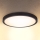 Brilagi - LED Stropna svjetiljka ESTELA LED/18W/230V crna
