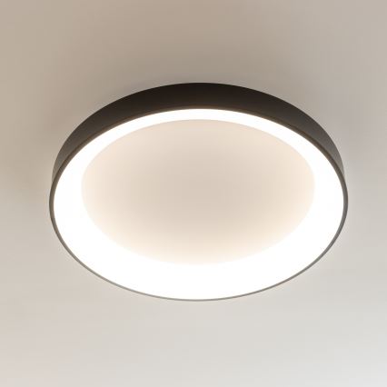 Brilagi - Prigušivo LED stropno svjetlo FALCON II LED/99W/230V 3000-6500K, promjer 60 cm, crno, s daljinskim upravljačem