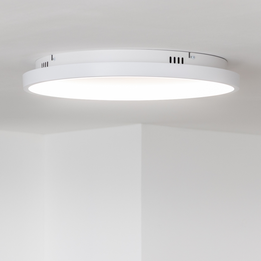 Brilagi - LED stropna svjetiljka s prigušivanjem FALCON SLIM LED/42W/230V 3000-6500K promjer 50 cm bijela + daljinski upravljač