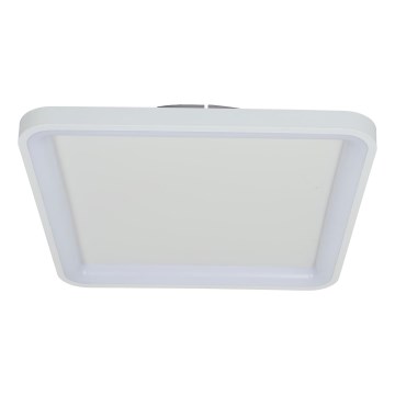 Brilagi - LED Stropna svjetiljka FALCON SLIM s prigušivanjem LED/50W/230V 3000-6500K 50x50 cm bijela + daljinski upravljač