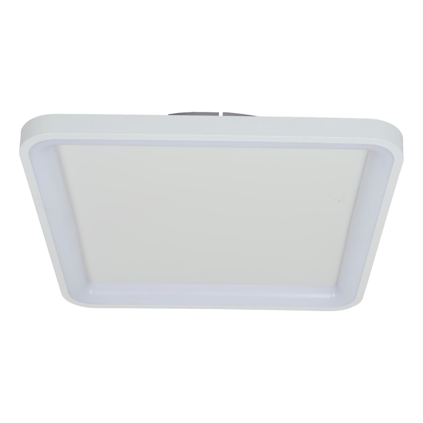 Brilagi - LED Stropna svjetiljka FALCON SLIM s prigušivanjem LED/50W/230V 3000-6500K 50x50 cm bijela + daljinski upravljač
