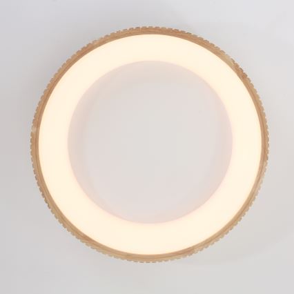 Brilagi - LED stropna svjetiljka FALCON WOOD MODERN LED/40W/230V 3000/4000/6000K promjer 60 cm drvena