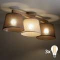 BRILAGI - LED stropna svjetiljka LATTE SABIA 3xE27/15W/230V borovina/mješavina