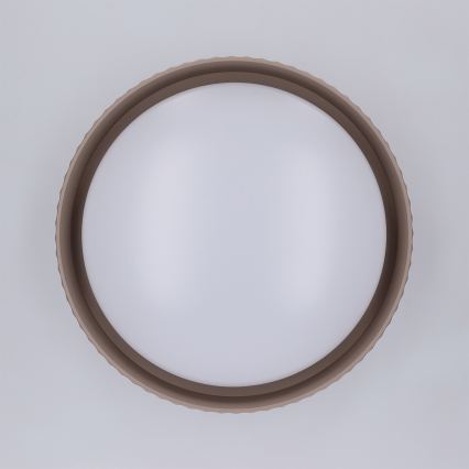 Brilagi - LED stropna svjetiljka LUCIA LED/24W/230V Ø 31 cm smeđa