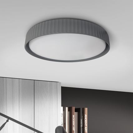 Brilagi - LED stropno svjetlo LUCIA s mogućnošću prigušivanja LED/48W/230V 3000-6500K promjer 41 cm siva + daljinski upravljač
