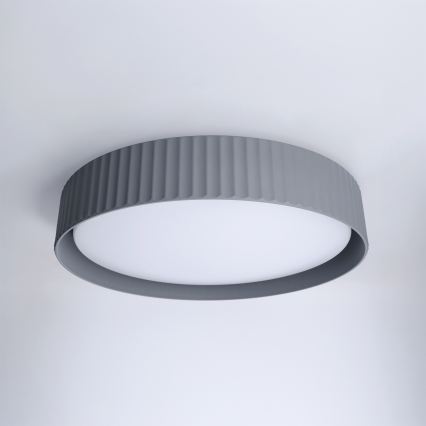 Brilagi - LED stropno svjetlo LUCIA s mogućnošću prigušivanja LED/48W/230V 3000-6500K promjer 41 cm siva + daljinski upravljač