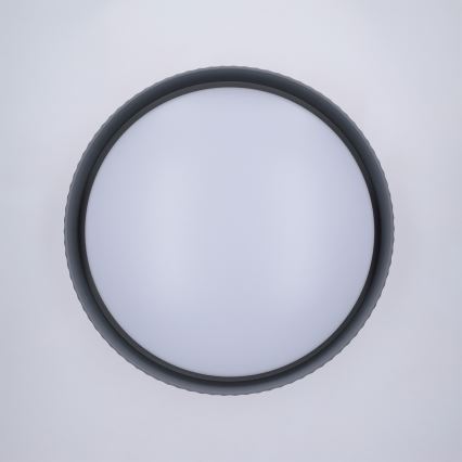 Brilagi - LED stropno svjetlo LUCIA s mogućnošću prigušivanja LED/48W/230V 3000-6500K promjer 41 cm siva + daljinski upravljač