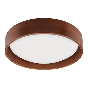 Brilagi - LED Stropna svjetiljka MANAROLA LED/15W/230V