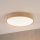 Brilagi - LED stropna svjetiljka MANAROLA PLAIN LED/24W/230V 3000K Ø 41 cm hrast