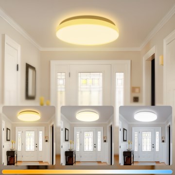 Brilagi - LED stropna svjetiljka MILKY WAY LED/24W/230V 3000/4000/6500K Ø 38 cm