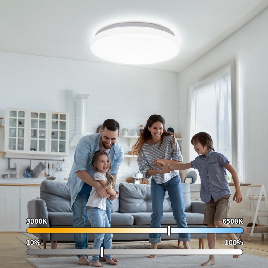 Brilagi - LED stropna svjetiljka MILKY WAY LED/24W/230V 3000/4000/6500K Ø 38 cm