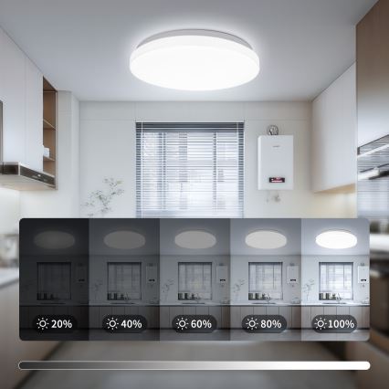 Brilagi - LED stropna svjetiljka MILKY WAY LED/24W/230V 3000/4000/6500K Ø 38 cm