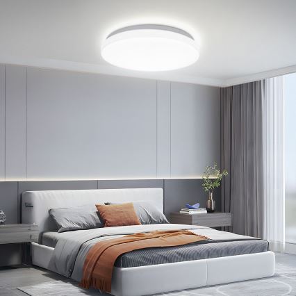 Brilagi - LED stropna svjetiljka MILKY WAY LED/24W/230V 3000/4000/6500K Ø 38 cm