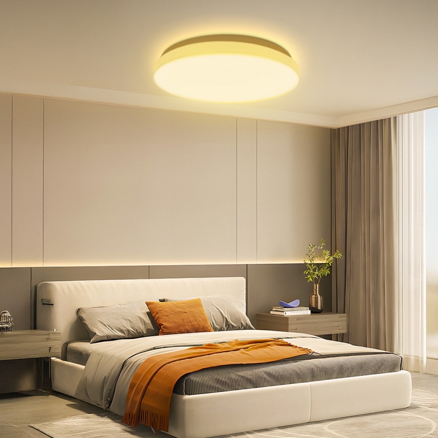 Brilagi - LED stropna svjetiljka MILKY WAY LED/24W/230V 3000K, promjer 38 cm