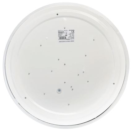 Brilagi - LED stropna svjetiljka MILKY WAY LED/24W/230V 3000K, promjer 38 cm