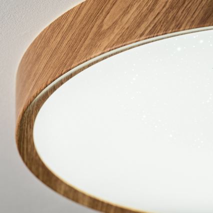 BRILAGI - LED stropna svjetiljka NATURA LED/12W/230V 4000K Ø 26,3 cm