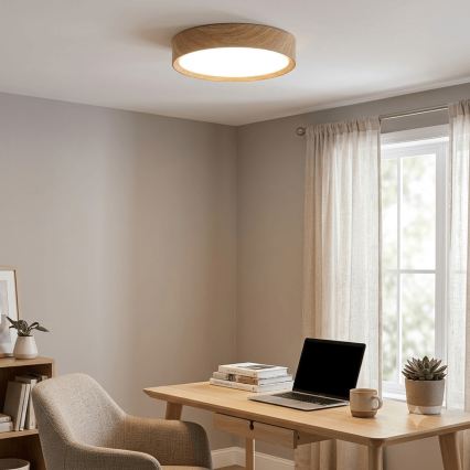 BRILAGI - LED stropna svjetiljka NATURA LED/20W/230V 4000K Ø 33,7 cm