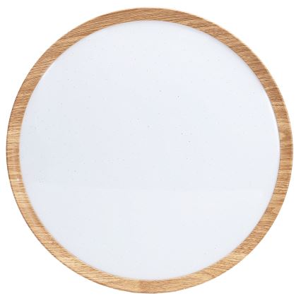 BRILAGI - LED stropna svjetiljka NATURA LED/20W/230V 4000K Ø 33,7 cm