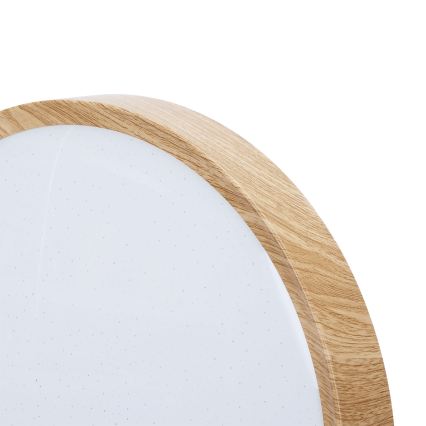 BRILAGI - LED stropna svjetiljka NATURA LED/24W/230V 4000K Ø 38,3 cm