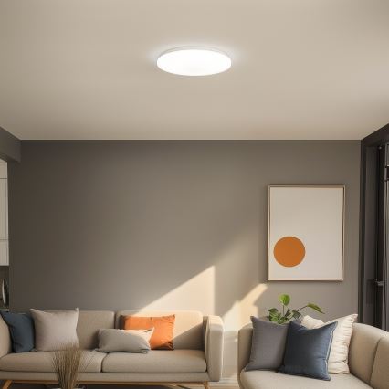 Brilagi - LED stropna svjetiljka OPAL LED/24W/230V