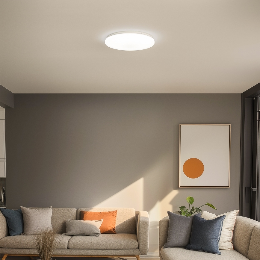 Brilagi - LED stropna svjetiljka OPAL LED/24W/230V