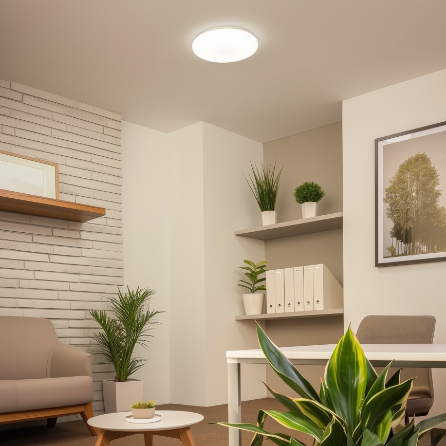 Brilagi - LED stropna svjetiljka OPAL LED/24W/230V