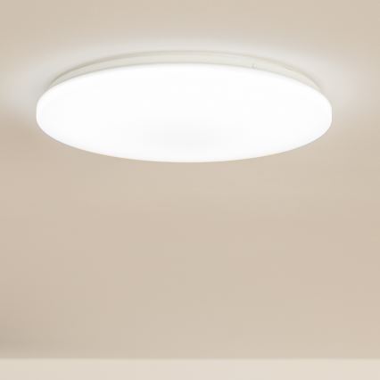 Brilagi - LED stropna svjetiljka OPAL LED/24W/230V