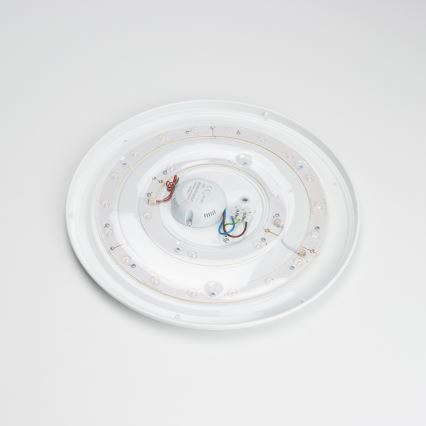 Brilagi - LED stropna svjetiljka OPAL LED/24W/230V