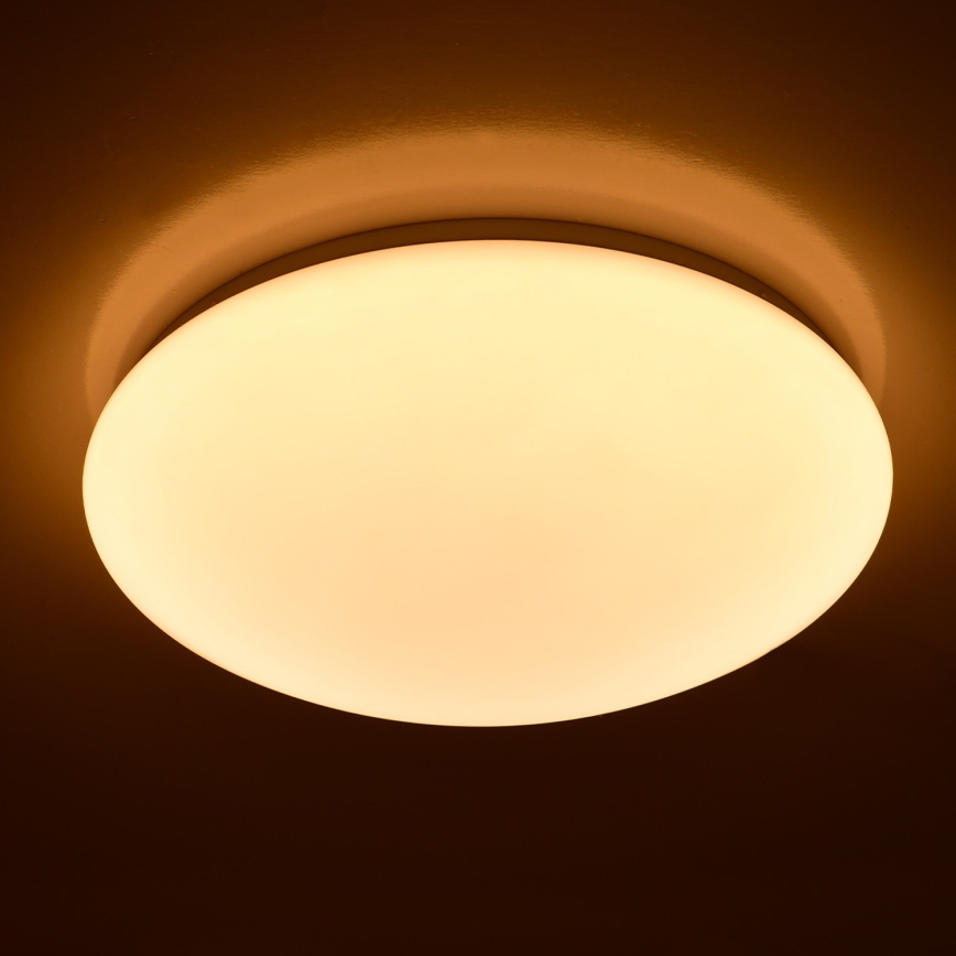 Brilagi - LED stropna svjetiljka OPAL LED/24W/230V Ø 37,5 cm