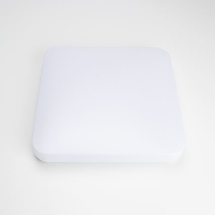 Brilagi - LED Stropna svjetiljka OPAL LED/24W/230V