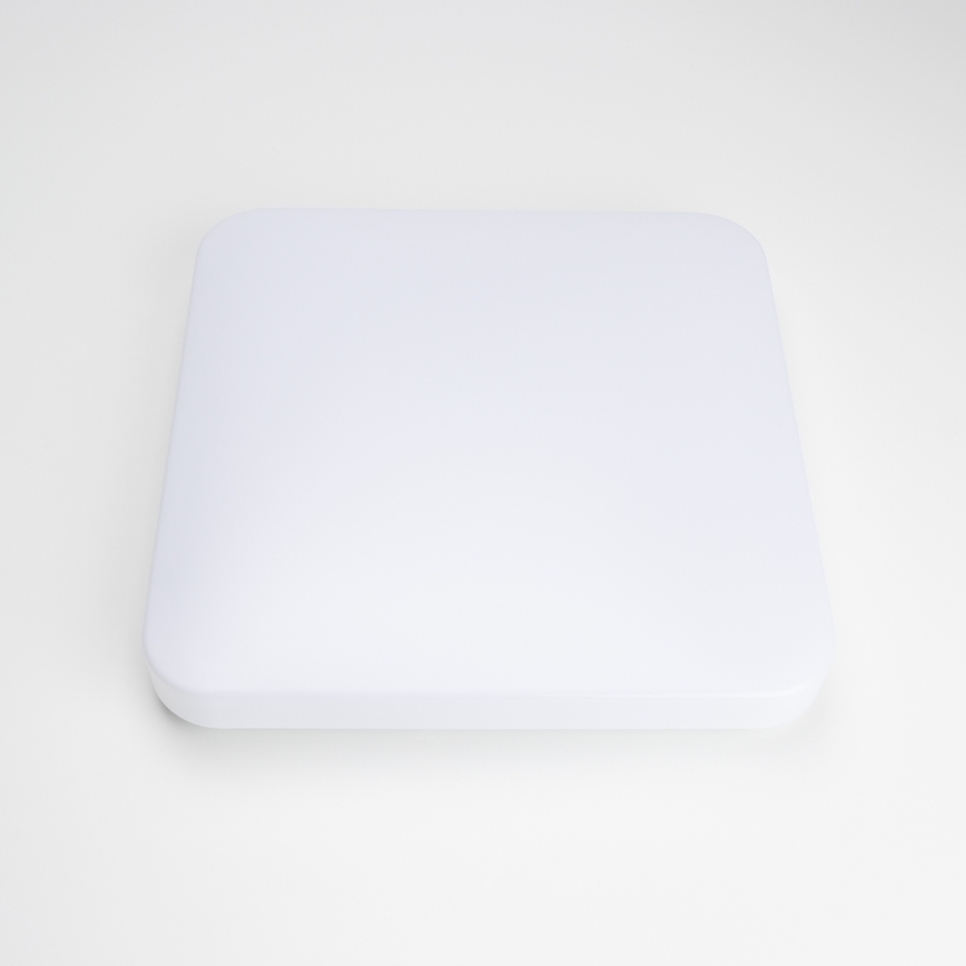 Brilagi - LED Stropna svjetiljka OPAL LED/24W/230V