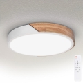 BRILAGI - LED stropna svjetiljka PILANA LED/48W/230V s mogućnošću prigušivanja hrast/bijela Ø 40 cm + daljinski upravljač