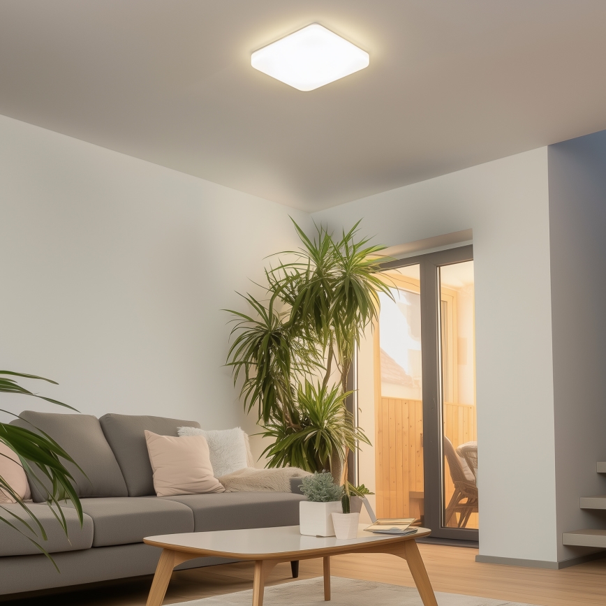 Brilagi - LED Stropna svjetiljka PLAIN LED/24W/230V 3000K