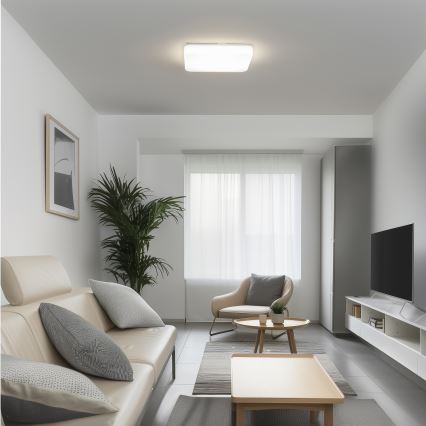 Brilagi - LED Stropna svjetiljka PLAIN LED/24W/230V 3000K