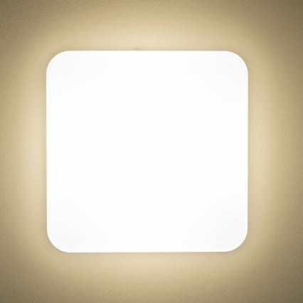 Brilagi - LED Stropna svjetiljka PLAIN LED/24W/230V 3000K