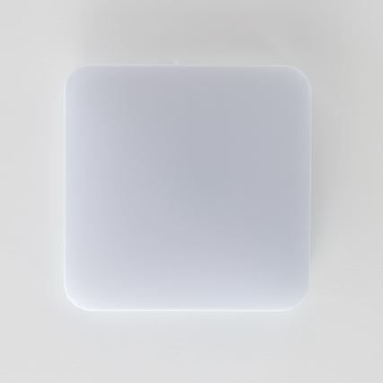 Brilagi - LED Stropna svjetiljka PLAIN LED/24W/230V 3000K