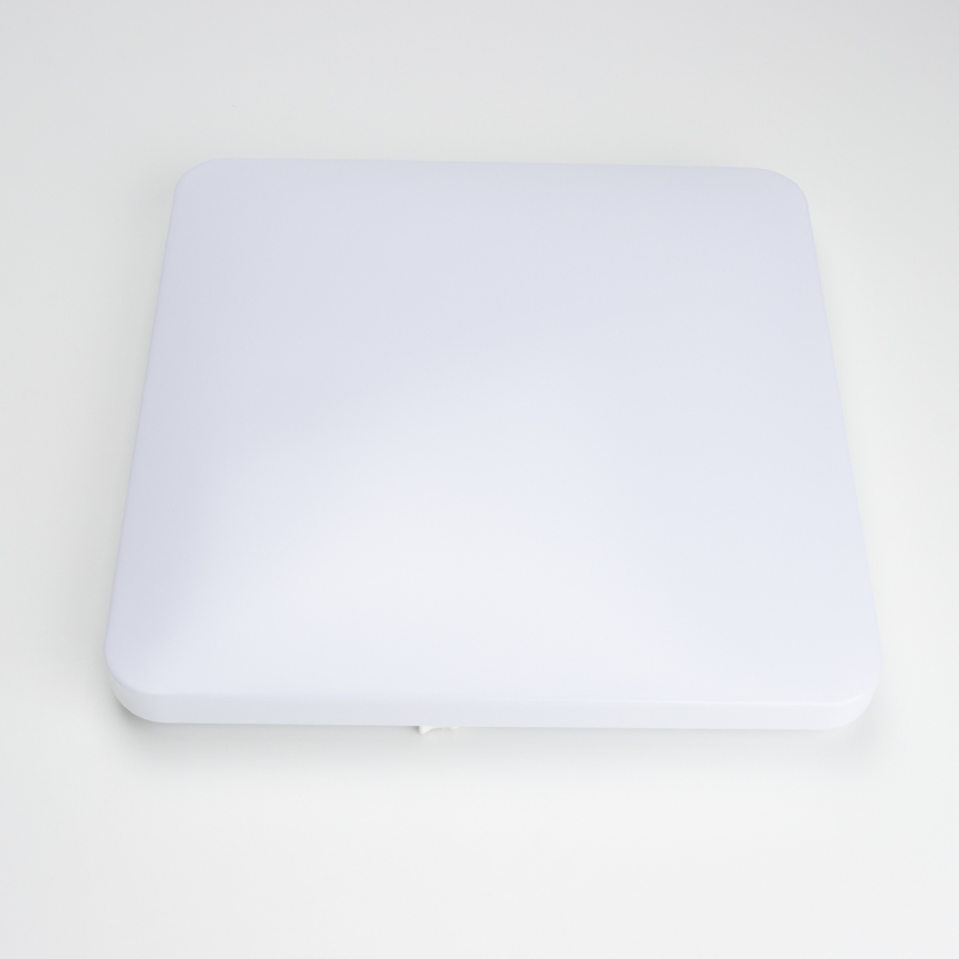 Brilagi - LED Stropna svjetiljka PLAIN LED/24W/230V 3000K