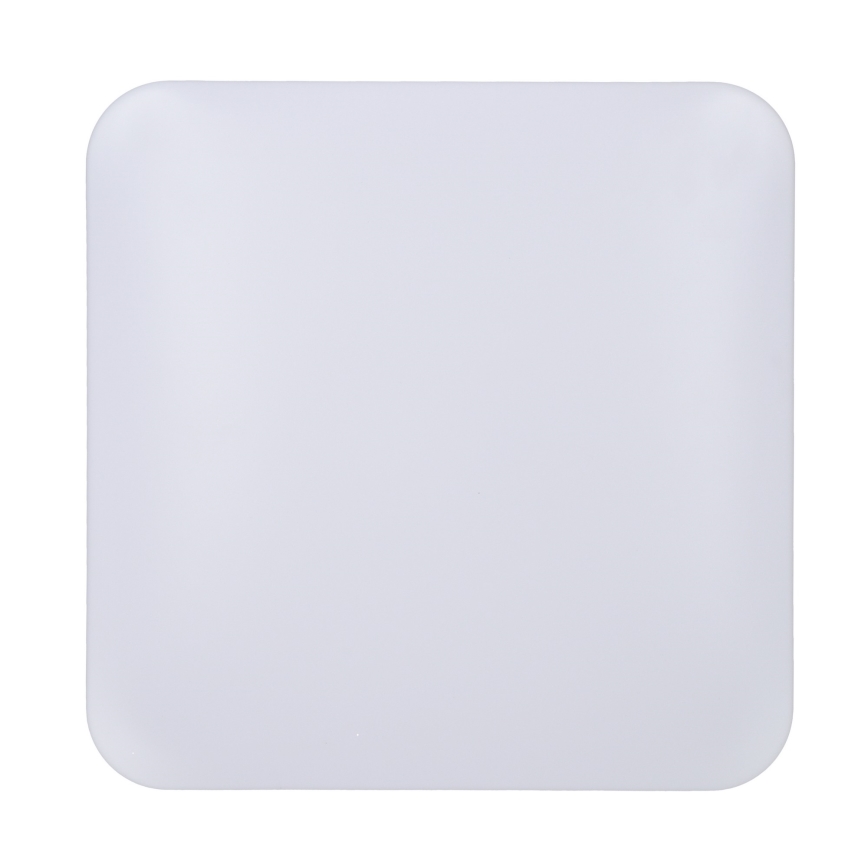 Brilagi - LED Stropna svjetiljka PLAIN LED/24W/230V 3000K
