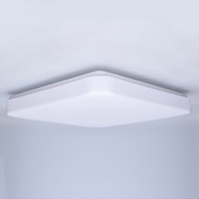 Brilagi - LED Stropna svjetiljka PLAIN LED/24W/230V
