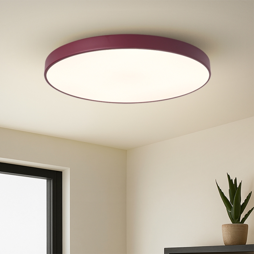 Brilagi - LED stropno svjetlo POOL LED/100W/230V 3000/4000/6000K Ø 80 cm bordo