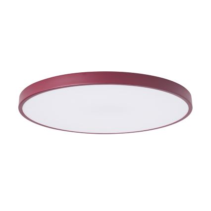Brilagi - LED stropno svjetlo POOL LED/100W/230V 3000/4000/6000K Ø 80 cm bordo