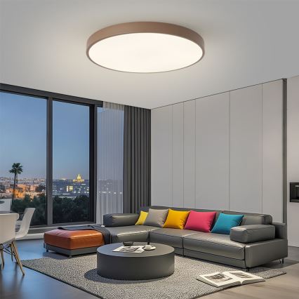 Brilagi - LED stropna svjetiljka POOL LED/100W/230V 3000/4000/6000K promjer 80 cm smeđa