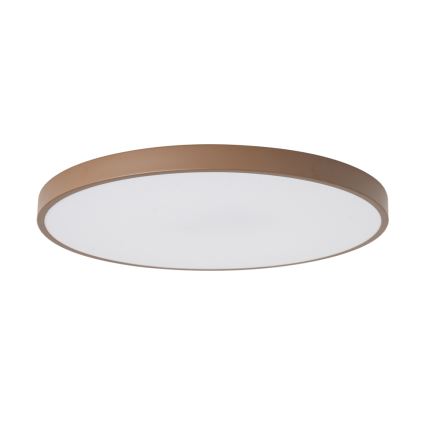 Brilagi - LED stropna svjetiljka POOL LED/100W/230V 3000/4000/6000K promjer 80 cm smeđa