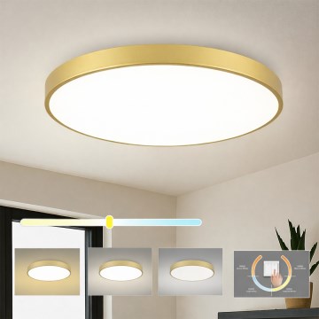 Brilagi - LED stropna svjetiljka POOL LED/100W/230V 3000/4000/6000K promjer 80 cm zlatna